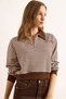 Women's Brown Polo Neck Zippered Striped Unlined Crop Sweatshirt Swt-19000746