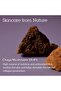 Pressed Serum Tundra Chaga, 27ml - Korean Skin Care, Anti Wrinkle, Calming & Hydrating, K bea - 5