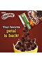 Nestle Breakfast Cereal 375g Special Price - 5
