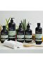 Goodness Oud, Cedar & Amber Natural Bath Soak, 500ml - 8
