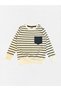 Boy's 100% Cotton Beige Color Smoked Striped Long Sleeve Pocketed Winter Tracksuit Set - 5