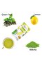 Matcha Green Tea with Lemon 25 pcs Refreshing Antioxidant Rich Blend For Daily Wellness - 5
