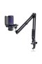 Condenser Microphone Studio Broadcast Professional Studio Microphone Recording Singing Microph