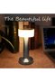 Silver LED Touch Control Desk Lamp and Night Light-Portable, 3 Colors for Bedroom, Restaurant & Bar - 4