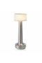 Silver LED Touch Control Desk Lamp and Night Light-Portable, 3 Colors for Bedroom, Restaurant & Bar