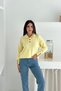 Stand Collar Half Placket Button Soft Textured Knitwear Sweater Aw25Kz0021