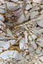 Viscose Fabric 100% Cotton - Special Series - Dress Fabric - Evening Dress Fabric - Skirt Fabric - Width 150cm - 3