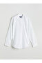 Regular Fit Long Sleeve Linen Blended Men's Shirt - 6