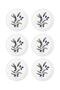 Olivos Pasta Plate Set of 6 19 cm Ovs0001 - 4