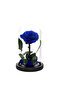 Timeless Blue Rose in Glass Dome – Preserved Single Rose for Lasting Love and Elegance