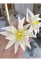 Muadil Brand Trend Flower Earrings - 2