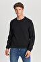 Men's Black Cotton Standard Fit Regular Cut Crew Neck Jacquard Knitwear Sweater
