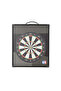 Fun Magnetic Darts