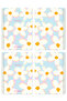 A4 Spiral School Notebook Set of 2 – Lined, Soft Touch Cover