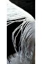 White Cotton Fringe Tassel (with 15 Santimeters Width) Price Is 1 Meter. - 7
