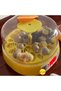 Mini Automatic Home-Type Incubator: Parrot Quail Incubator with 18 Eggs Mx-18 () - 3