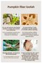 Snail Extract Pumpkin Fiber Soap 100% Natural Handmade Exfoliating Skin Renewing and Moisturizing Soap - 3