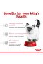 Kitten Dry Food for Kittens 400Gr - 5