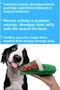 2-Piece Plush Slipper Dog Toy with Sound |   Intelligence Developing Toy with Food Storage - 6