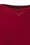 Bordo Premium Yumuşak Kumaşlı Viskon Bisiklet Yaka Crop Esnek Örme Bluz TBBAW25AF00027 - 7