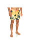 Eqyjv03999 Paradise 15 m Jamv Men's Shorts Swimsuit - 4