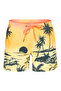 Eqyjv03999 Paradise 15 m Jamv Men's Shorts Swimsuit - 6