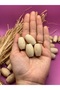17X25 mm Raw Oval Wooden Beads (50 Grams 18 Pieces) Macrame Bag Design Wooden Beads Hole Diameter 6 mm - 2