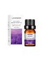 Pack of 5 Natural and Pure Premium Multi Scented Diffuser Aromatherapy Oils - 2