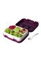Portable Durable Leakproof Food Container Outdoor 3 Compartment Sealed Salad and Lunch Box with Divi - 2