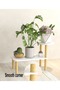 Shelves Multipurpose Modern Design Flowerpot Rack Flower Shelf Display Stand Storage Rack - 2