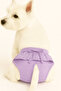 Purple Polka Dot Small Breed Cat Dog Regular Underwear