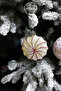 Christmas Ornament Pearlescent 2-Piece Ball Blue Fuchsia 11 cm