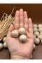 24 mm Raw Wood Beads (50 Grams 11 Pieces) Narrow Hole Diameter 5 mm Macrame Bag Bracelet Jewelry Colorful - 2
