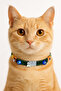 Miyavko Multicolor Silver Plated Cat Heart and Glass Evil Eye Beads Detailed Cat Necklace