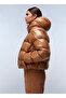 Brown Women's Coat Np0A4Hz5W0B1_A-Glane W - 4