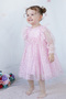 Baby Girl Dress Long Sleeve Tulle Tutu Starry Birthday Special Day Party Wedding Girl Kids Dress - 2