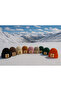 Orange Wool Children's Beanie with Gingerbread Animal Figure and Punch Detail - 3