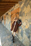 Women's Pocket Detail Cape Jacket Brown - 4