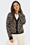 Women's Onlleo V-Neck Patterned Knitted Cardigan 15349819 Black