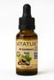 Horse Chestnut Oil 100% Natural Herbal Essential Oil 20 ml