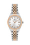 Original Waterproof 2 Years Warranty Dke.1.10826-5 Women's Wristwatch