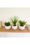 Handmade Set of 3 Concrete Flower Pot Arrangement Mother's Day Valentine's Day Flower Pot Gift