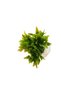 Handmade Set of 3 Concrete Flower Pot Arrangement Mother's Day Valentine's Day Flower Pot Gift - 4