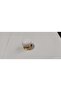 Flat Knob White Gold Furniture Drawer Cabinet Handle 1 Pc.Single Hole Knob Handle-Handle/Cabinet/Drawer/Furniture - 5