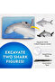 Natgeo Shark Finding Kit Nat07002 - 2