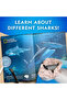 Natgeo Shark Finding Kit Nat07002 - 3