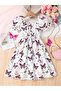 Girls Butterfly Print Puff Sleeve A-line Dress - 2
