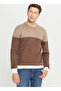Crew Neck Standard Brown - Beige Men's Sweater Ace049261480_Khj - 3