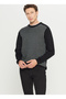 Crew Neck Standard Black - Gray Men's Sweater Ace049261478_Syg - 3