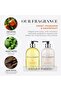 Sweet Mandarin & Grapefruit Hand Wash & Body Lotion Set 2 x 500ml - 4
